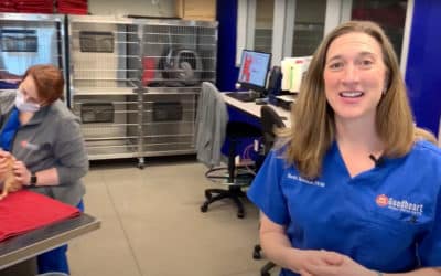Goodheart Celebrates  6 Months of Pet Wellness