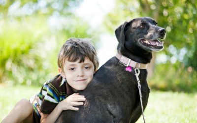 Why Annual Wellness Visits  Help Pets Live Longer