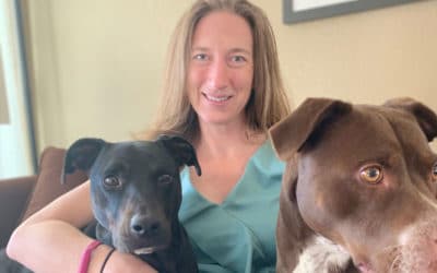 Why Fireworks Terrify Pets and  How to Help