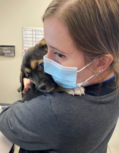 person holding a puppy