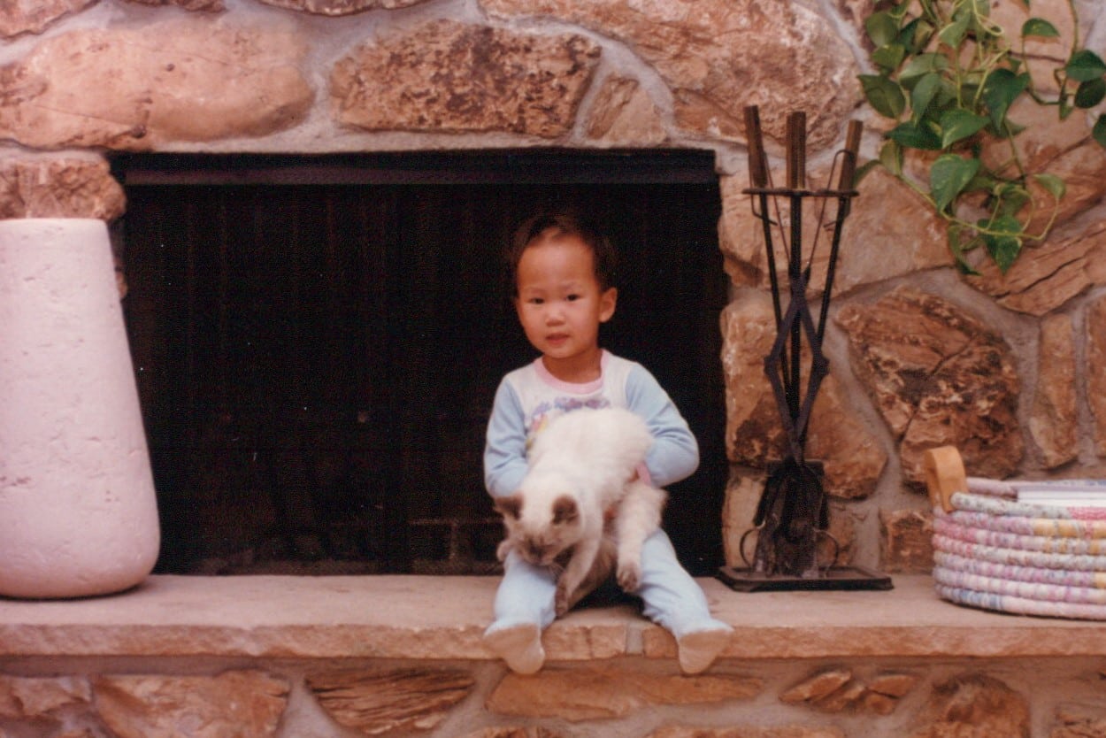 small child with a cat