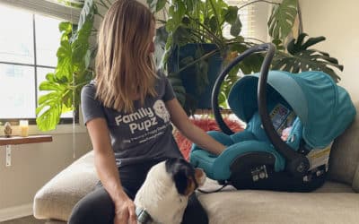 Introducing Your Dog to a Newborn  Tips for a Smooth Transition