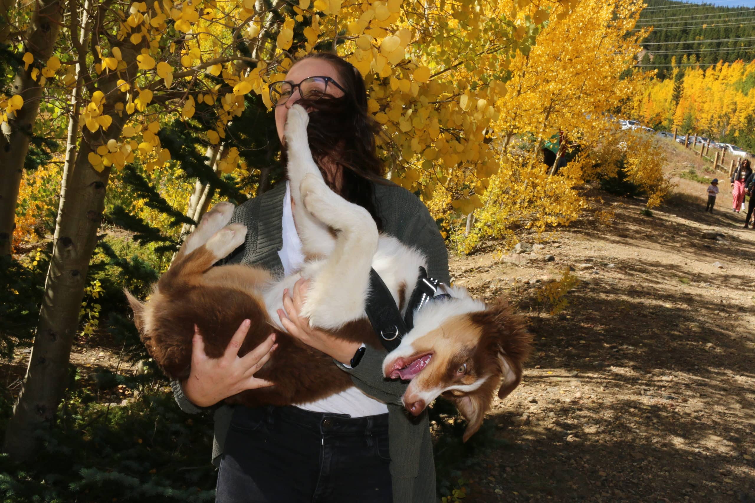 dog outside in the woods with owner