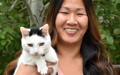 5 Essential Tips for  Senior Cat Wellness