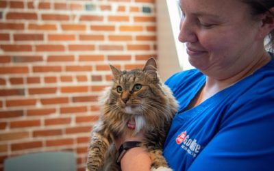 Goodheart’s Smart Approach  To Pet Vaccines