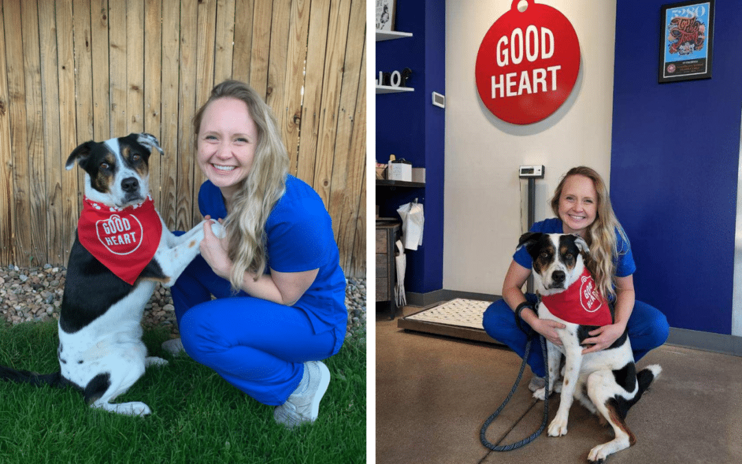 6 Common Signs of  Pet Allergies