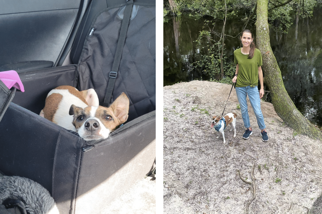 Dog in car seat and girl and dog standing together.