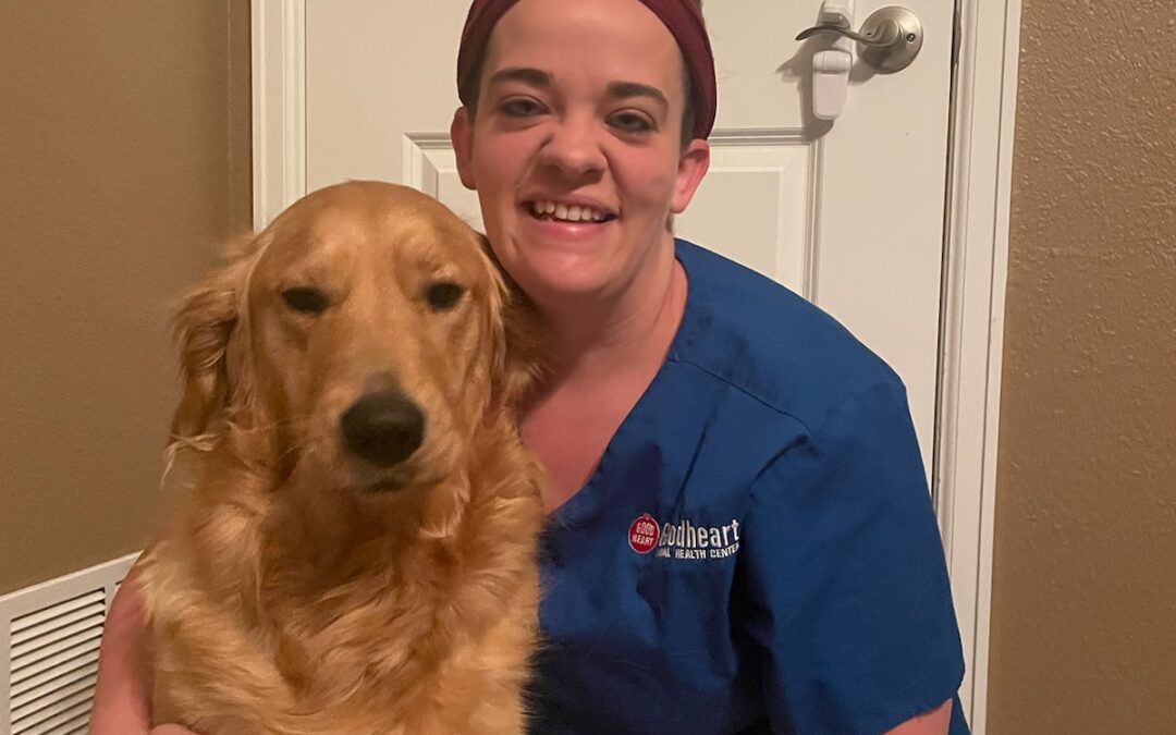 3 Reasons to Microchip  Your Pet in 2024