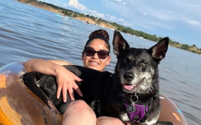 Lake and Boating Safety  Tips for Pet Owners