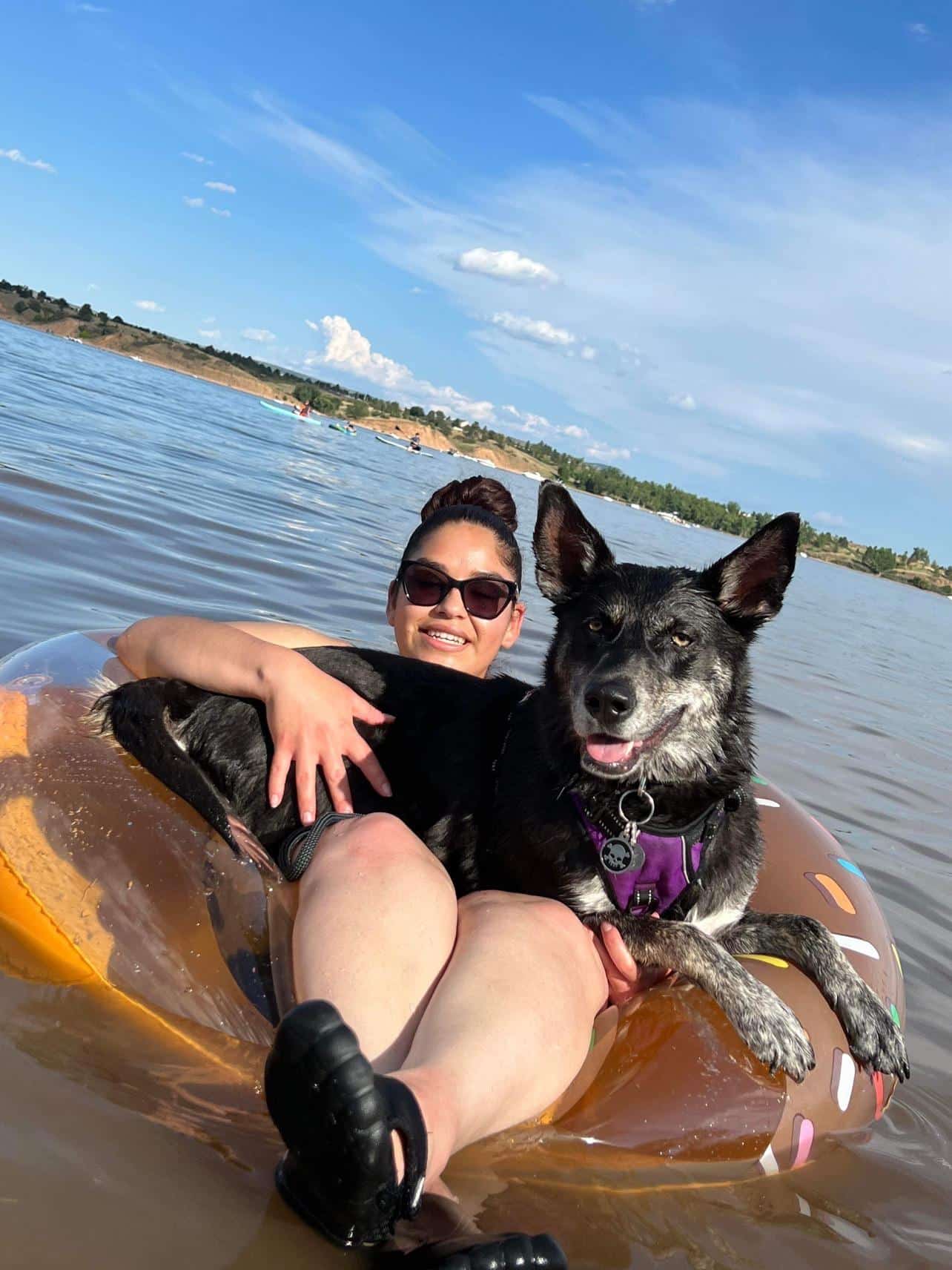 black dog in inner tube