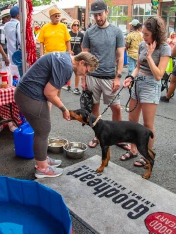 veterinary team at a fundraiser