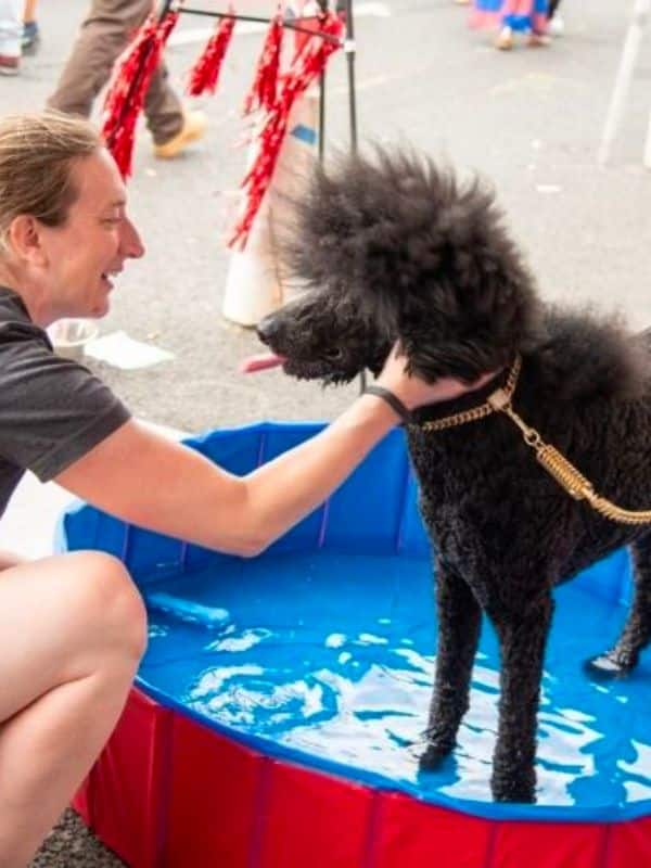 veterinary team at a fundraiser