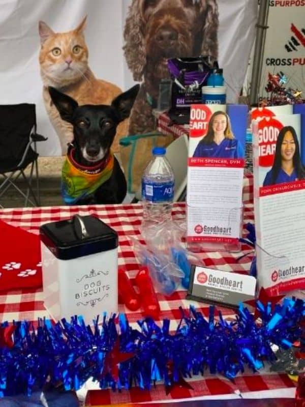 veterinary team at a fundraiser