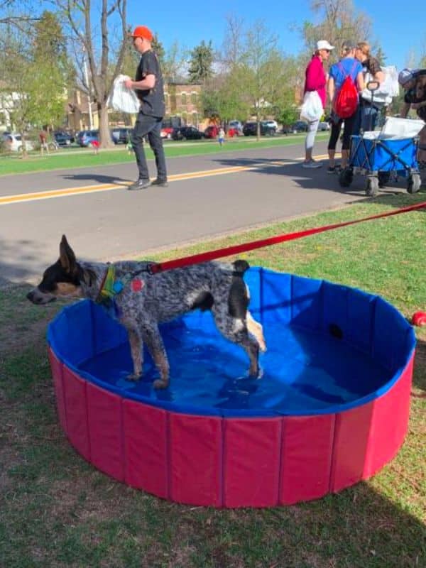 veterinary team at a fundraiser