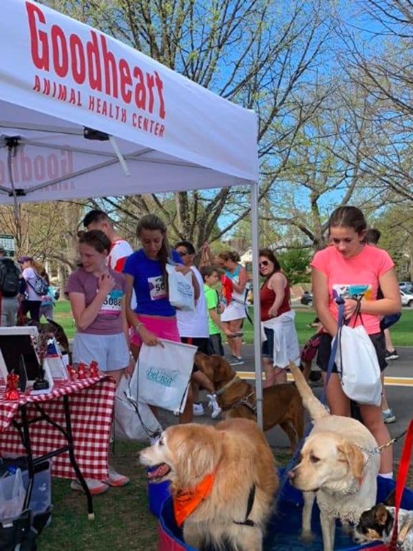 veterinary team at a fundraiser