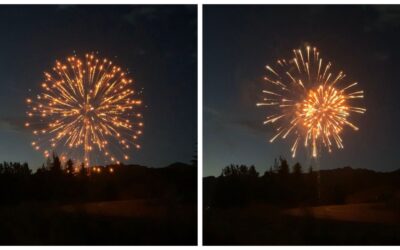 How to Help Pets During  New Year’s Eve Fireworks