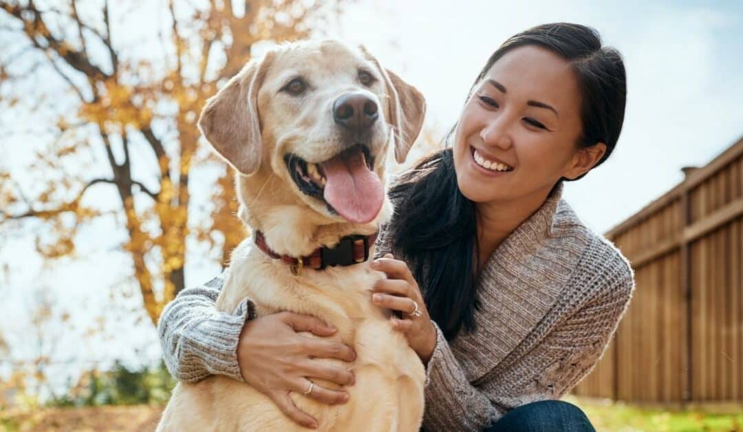 Protecting Pets from  Coyotes, Hawks, and Other Wildlife