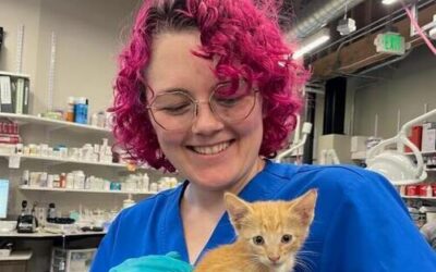 Love and Second Chances  Heartwarming Pet Stories