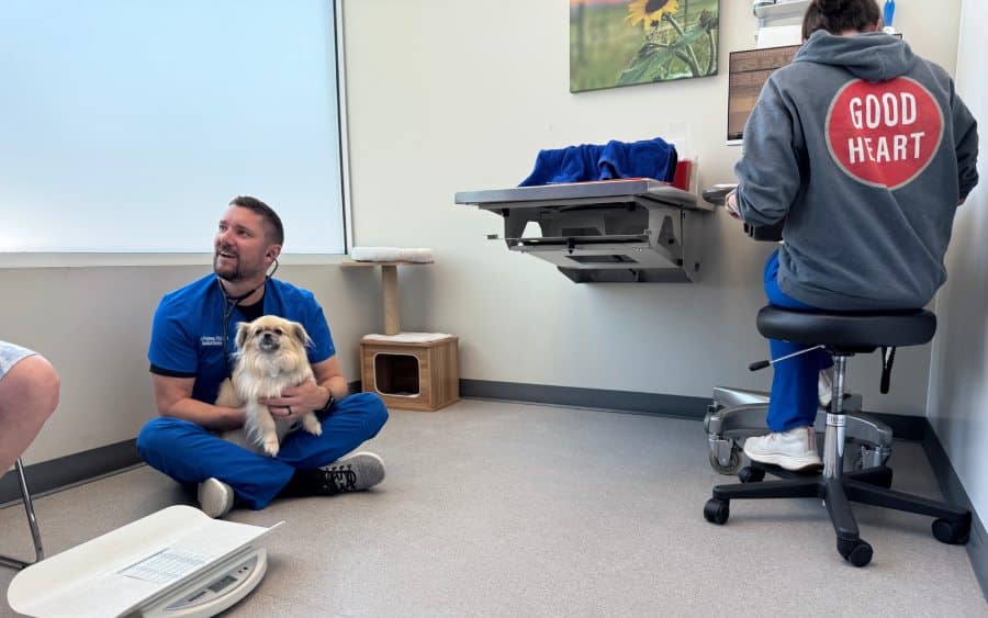 Vet in blue scrubs sitting on floor holding fluffy dog while coworker in “Good Heart” hoodie types