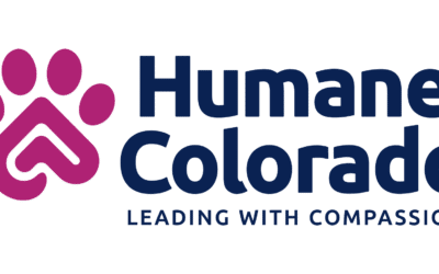 From Shelter to Home: Helping Colorado Pets Thrive